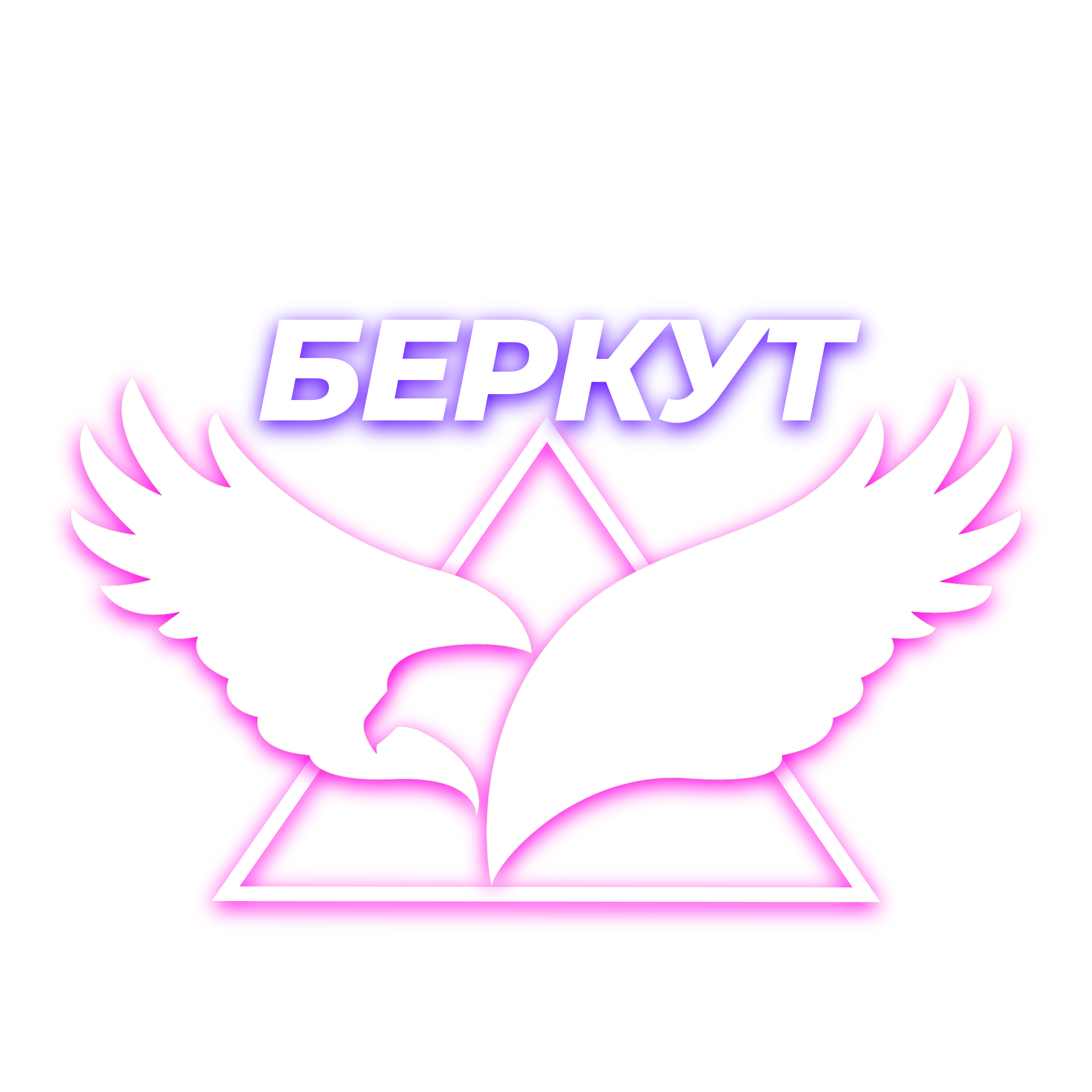 СДО "Беркут"